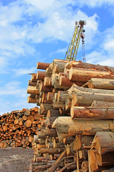 Przygotowanie drewna — Zdjęcie stockowe
