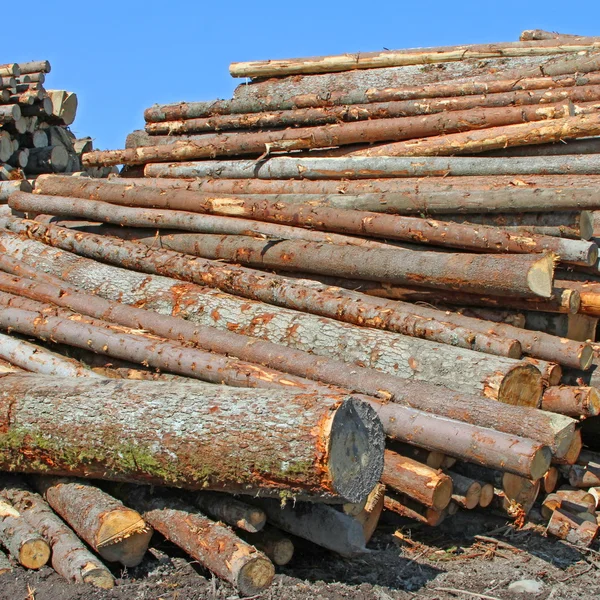 Wood preparation — Stock Photo, Image