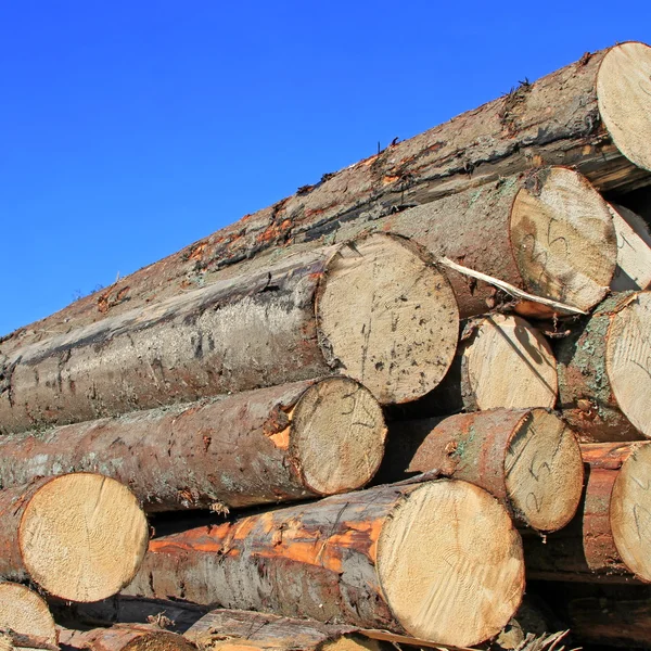 Holzbearbeitung — Stockfoto