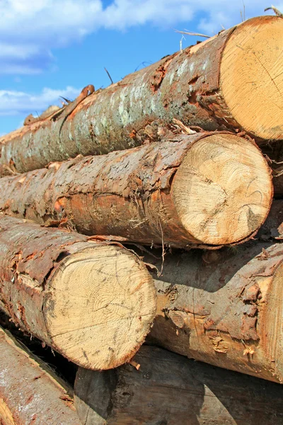 Preparación de madera — Foto de Stock