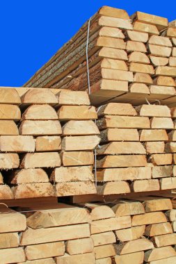 değil yığın kenar kurulu