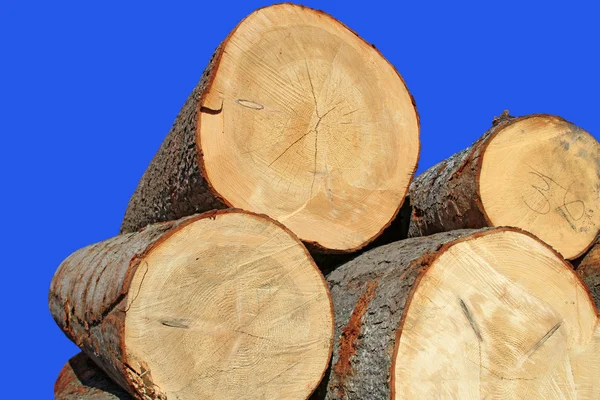 Wood preparation — Stock Photo, Image