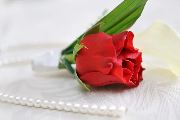 Boutonniere rosa roja para el novio —  Fotos de Stock