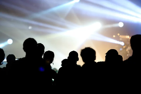 Audience at live concert — Stock Photo, Image