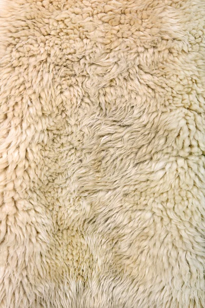 Koyun derisi arka plan — Stok fotoğraf