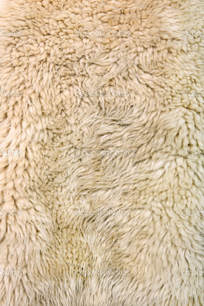 Sheepskin Background — Stock Photo © wideonet #44447297
