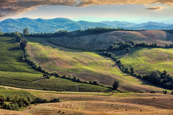 Vedere după câmpuri de recoltare, Toscana, Italia — Fotografie, imagine de stoc