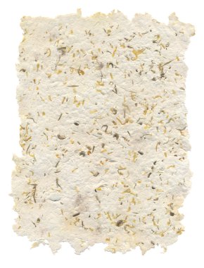 tohum ve iç yaprakları ile el yapımı kağıt