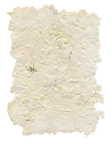 Yaprak ve çiçek içinde el yapımı kağıt — Stok fotoğraf