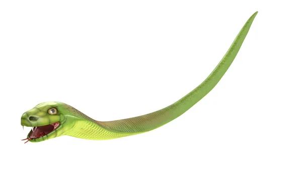Yeşil Kobra uçan veya düşer — Stok fotoğraf