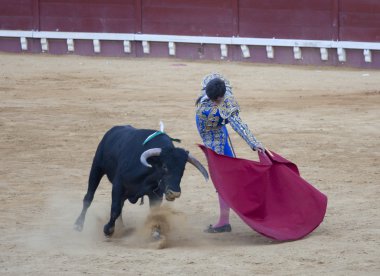 Bullfighter Paco Hidalgo clipart