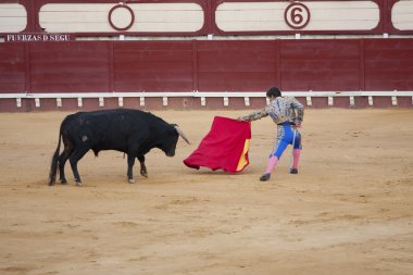 Paco hidalgo meydanda