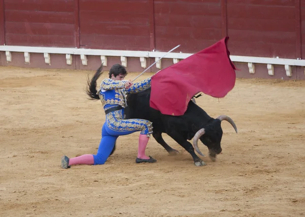 Paco Hidalgo de rodillas