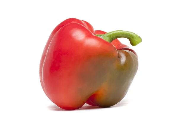 Κόκκινο πιπέρι — Φωτογραφία Αρχείου