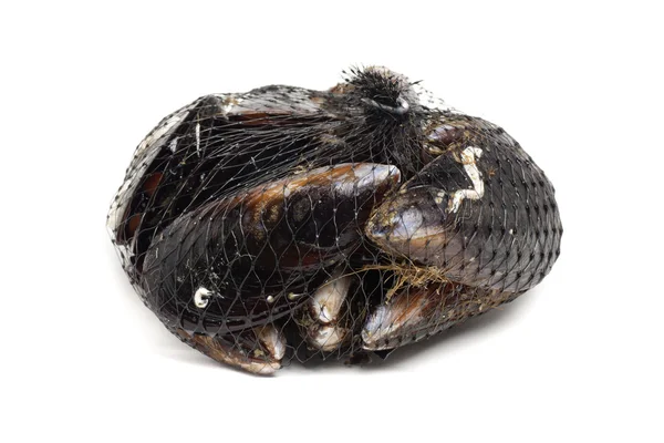 Mejillones de red — Foto de Stock