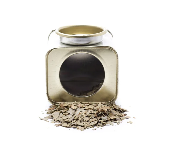 Spice laurel — Stock Photo, Image