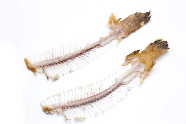 Two fishbone sole — Stock Photo, Image