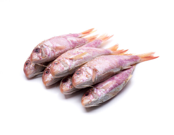 несколько кефаль
