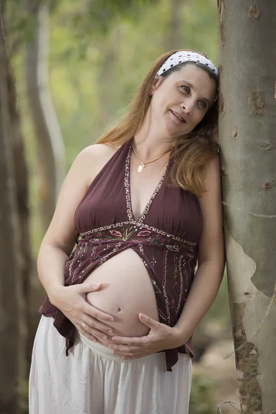 Pregnant forest — Stock Photo, Image