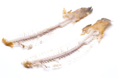 Fishbone balık