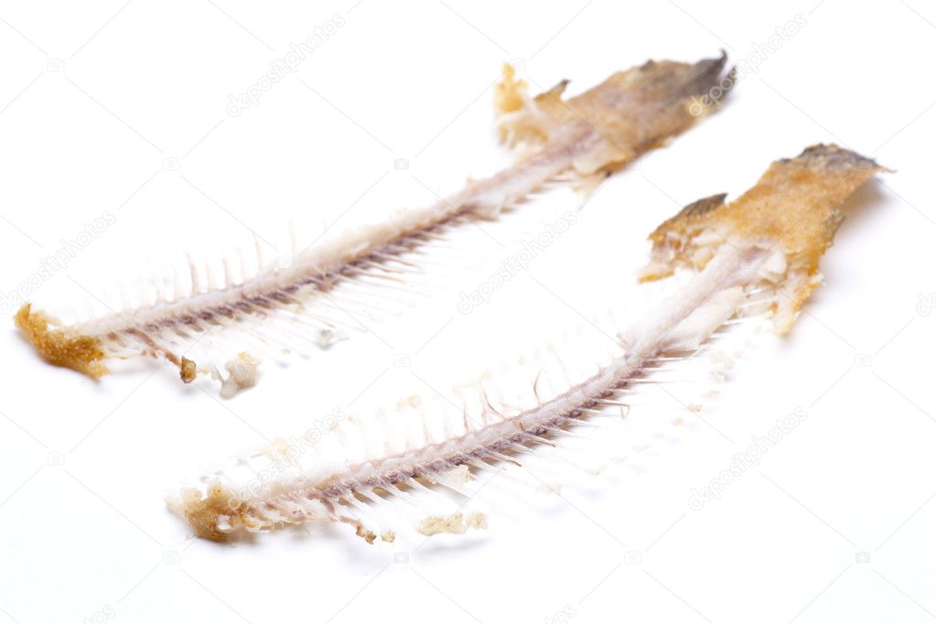 fishbone fish