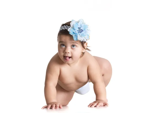 Baby flower blue — Stock Photo, Image