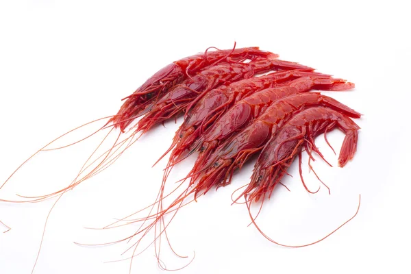 Shellfish red — Stock Photo, Image