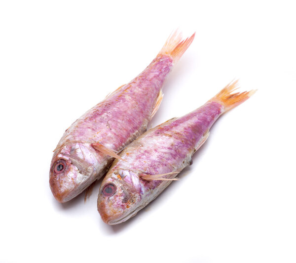 барабульку