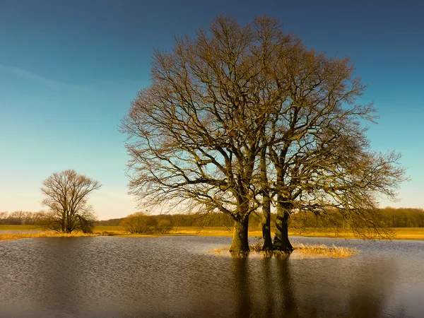 Inverno Imagens De Bancos De Imagens