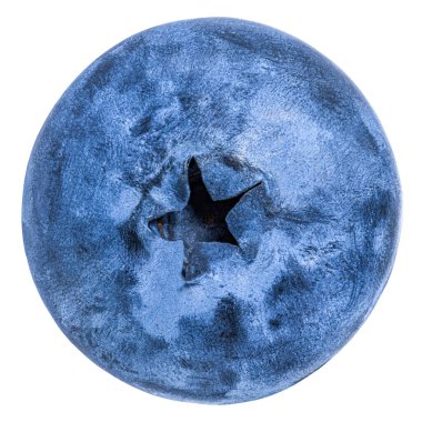 Beyaz arka planda yaban mersini izole edilmiş. Beyaz üzerine Bilberry.