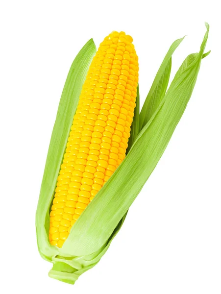 Ear Corn Isolated White Background — Stock Photo, Image