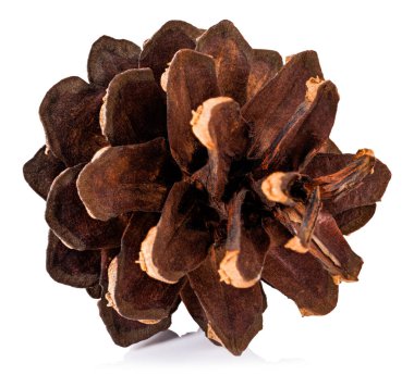 pine cones isolated on white background. Clipping path.