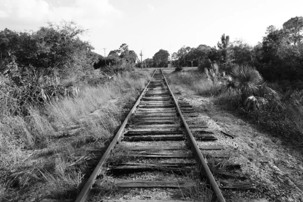 Black and white Railroad tracks in florida — Stock Photo, Image