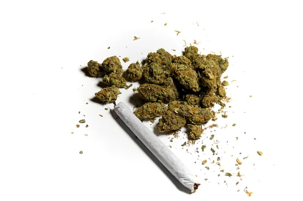 Medicinal marijuana and joint — Stock Photo, Image