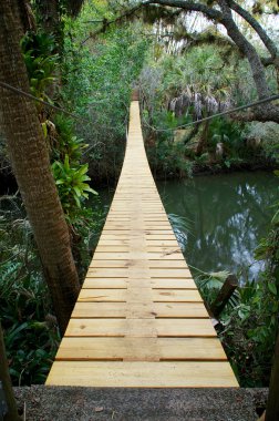 suspension walking bridge in tropics clipart