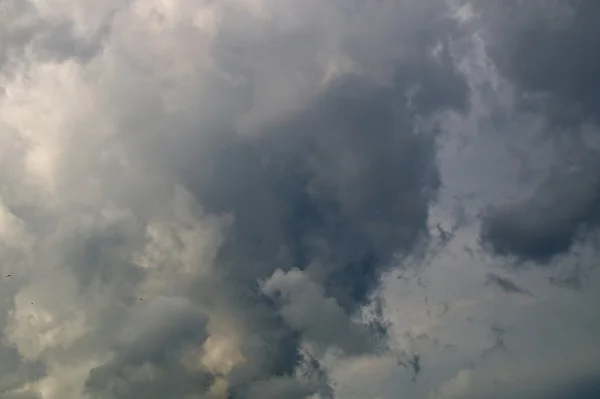 Nuvens tempestade florida — Fotografia de Stock