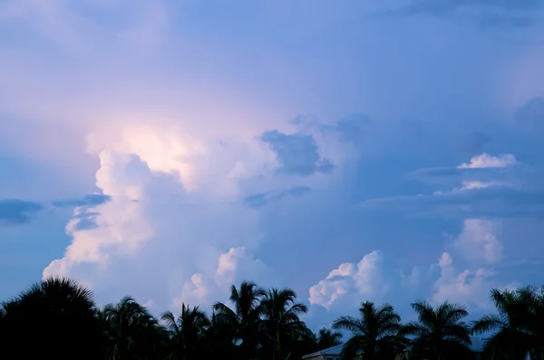 Varie formazioni di nuvole sulle palme al tramonto — Foto Stock
