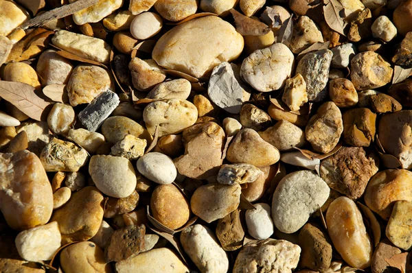 Piedras de río con hojas de fondo —  Fotos de Stock