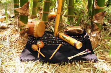 indigenous musical instruments clipart