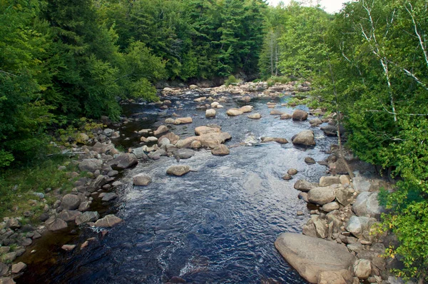 Vue Sur Rivière Rocheuse Sable Dans Nature Sauvage Wilmington New — Photo