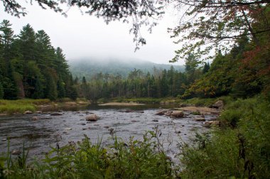 Arka plandaki bulutlu dağlar, Adirondack dağlarındaki Wilmington New York ormanlarının derinliklerindeki Quarry Trail Nehri 'nin bu görüntüsüne büyülü ve mistik bir hava katıyor..