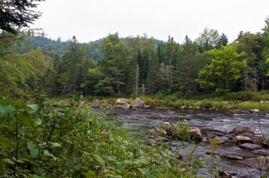 Wilmington New York 'taki Quarry Hiking patikasından akan nehrin güzel manzarası, bereketli vahşi ormanı gösteriyor..