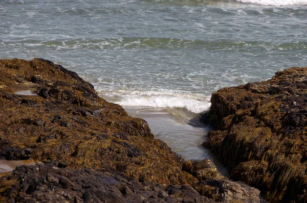 Vackra Mjuka Kraschar Vågor Bildas När Bryter Klipporna Atlanten Maine — Stockfoto