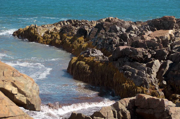 Halvön Sten Sticker Från Stranden Atlanten Längs Marginell Väg Ogunquit — Stockfoto