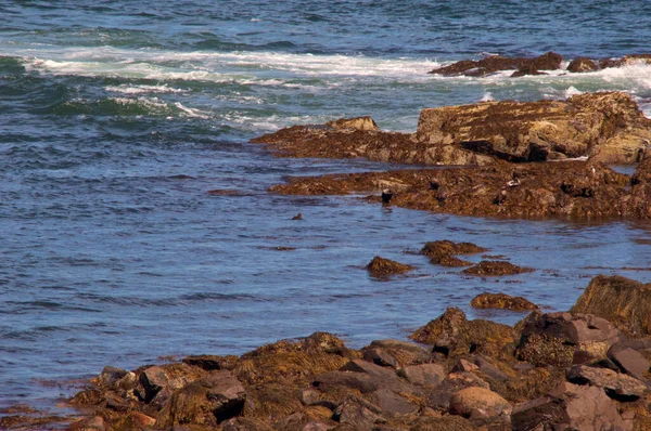 潮水涨潮时 大西洋沿岸岩石海岸上的静谧和波浪冲刷着 — 图库照片