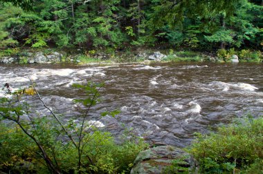 Bulutlu bir günde Adirondack dağlarında, Wilmington New York 'ta akıntılı Au samur nehrinin manzarası.