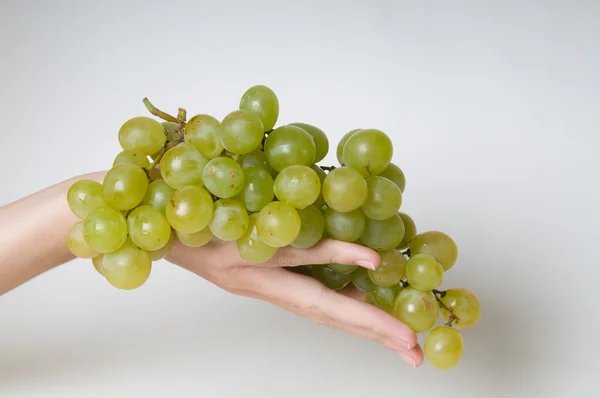 Raisins verts à portée de main — Photo