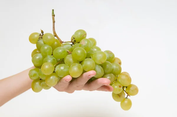 Raisins verts à portée de main — Photo