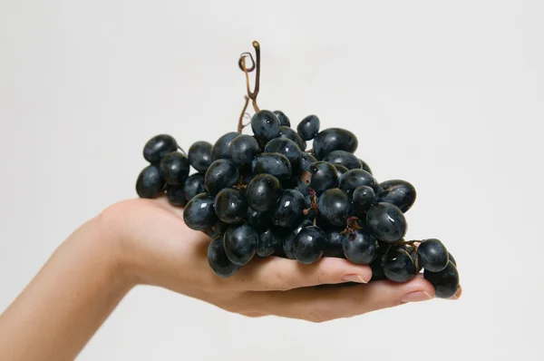Red grapes on hand — Stock Photo, Image