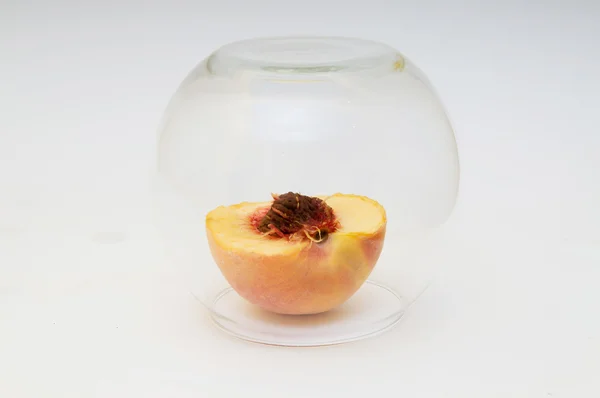 Peach under glass vase — Stock Photo, Image